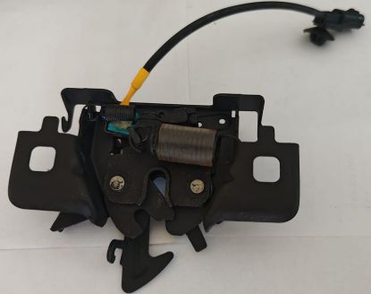 Motor Kaput Kilidi (Uyarı Sensörlü) - 656011705R resmi