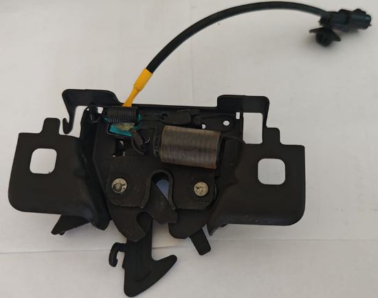 Motor Kaput Kilidi (Uyarı Sensörlü) - 656011705R resmi